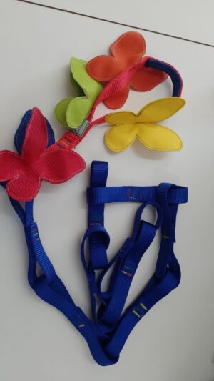 CINTA BORBOLETA