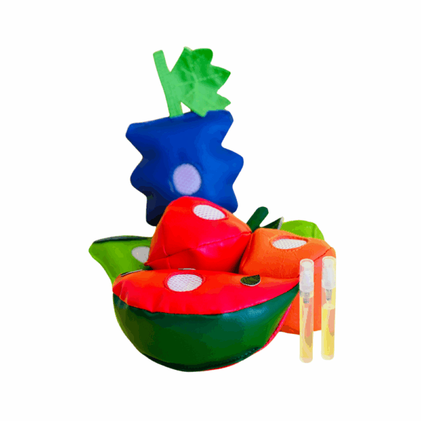 KIT SALADA DE FRUTAS CHEIRINHOS