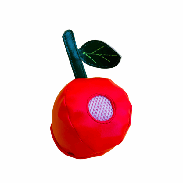 KIT SALADA DE FRUTAS CHEIRINHOS - Imagem 4